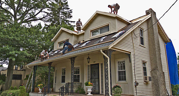 Best Gutter Installation and Roofing  in Somerdale, NJ